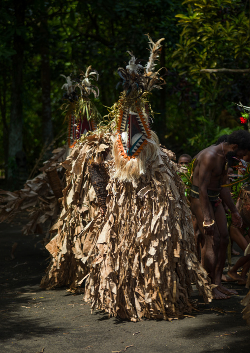 Tribesmen dressed in colorful masks and costumes made from the leaves of banana trees performing a Rom dance, Ambrym island, Fanla, Vanuatu