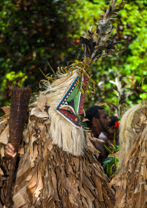 Tribesmen dressed in colorful masks and costumes made from the leaves of banana trees performing a Rom dance, Ambrym island, Fanla, Vanuatu