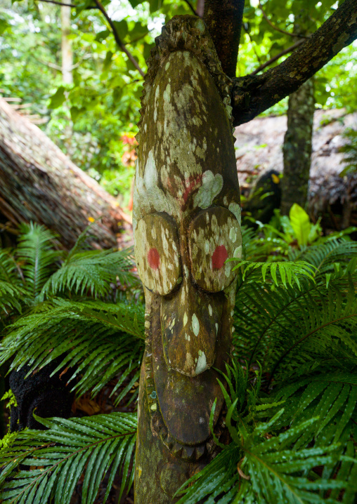 Slit gong drums in the jungle, Ambrym island, Olal, Vanuatu