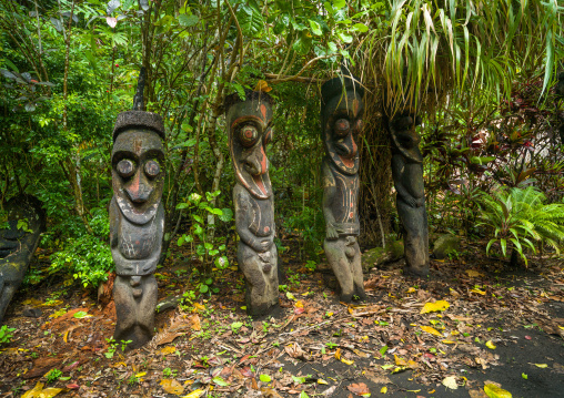 Fern tree grade figures in the jungle, Ambrym island, Olal, Vanuatu