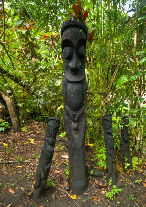 Fern tree grade figures in the jungle, Ambrym island, Olal, Vanuatu