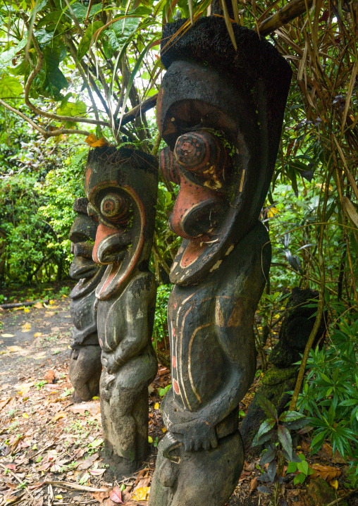 Fern tree grade figures in the jungle, Ambrym island, Olal, Vanuatu