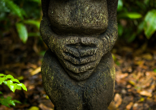 Fern tree grade figure in the jungle, Ambrym island, Olal, Vanuatu