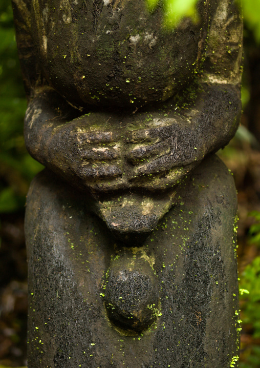 Fern tree grade figure in the jungle, Ambrym island, Olal, Vanuatu