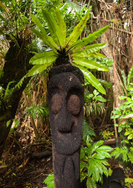 Fern tree grade figure in the jungle, Ambrym island, Olal, Vanuatu