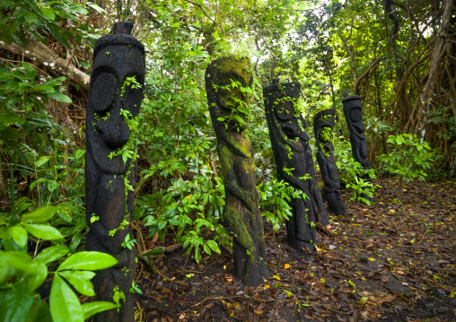 Fern tree grade figures in the jungle, Ambrym island, Olal, Vanuatu