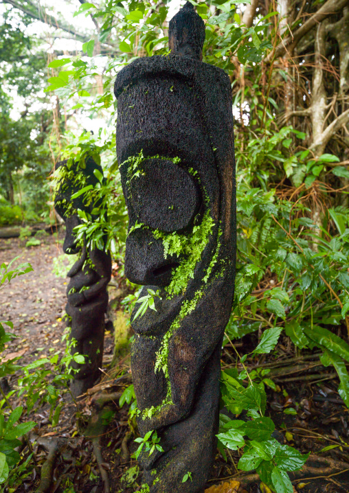 Fern tree grade figures in the jungle, Ambrym island, Olal, Vanuatu