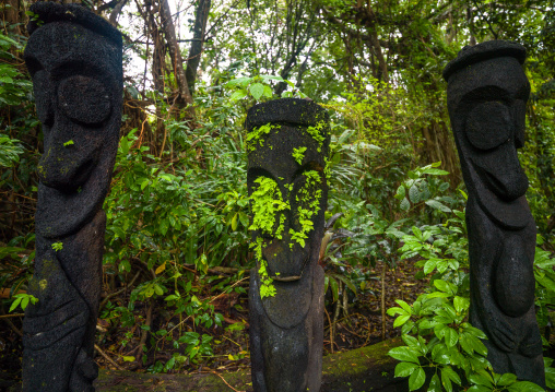 Fern tree grade figures in the jungle, Ambrym island, Olal, Vanuatu