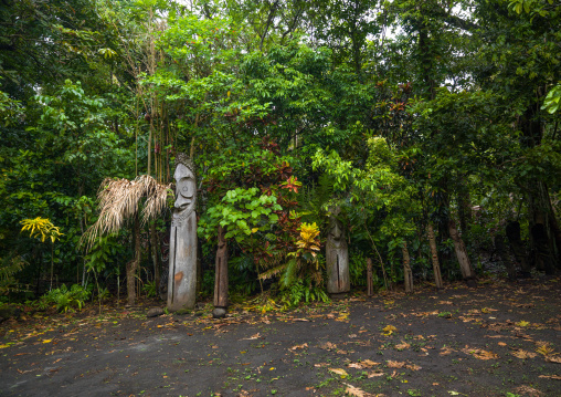 Slit gong drums in the jungle on a ceremonial ground called nasara, Ambrym island, Olal, Vanuatu