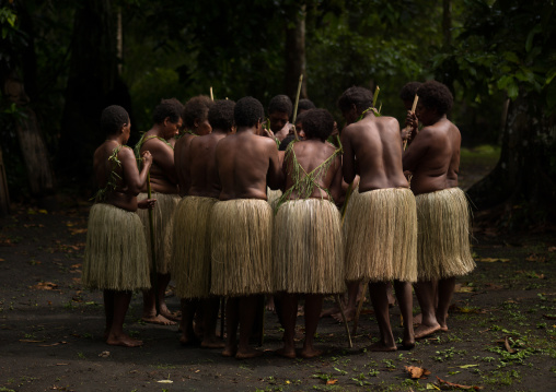 Women with grass skirts performing a Rom dance, Ambrym island, Olal, Vanuatu