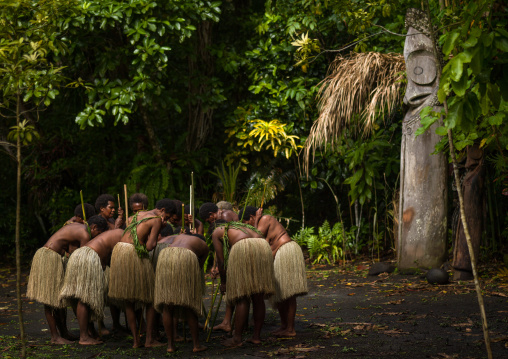 Women with grass skirts performing a Rom dance in front of a giant drum slit, Ambrym island, Olal, Vanuatu