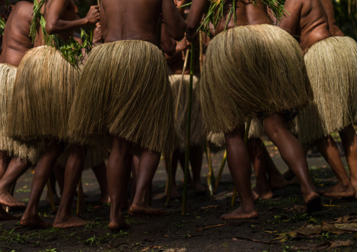 Women with grass skirts performing a Rom dance, Ambrym island, Olal, Vanuatu