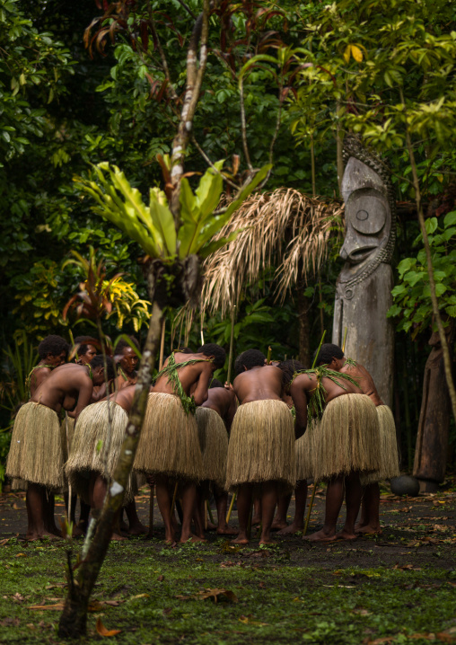 Women with grass skirts performing a Rom dance in front of a giant drum slit, Ambrym island, Olal, Vanuatu