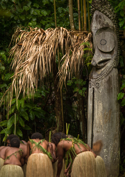 Women with grass skirts performing a Rom dance in front of a giant drum slit, Ambrym island, Olal, Vanuatu