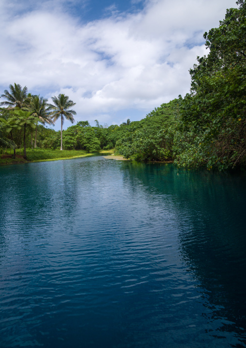 Matevulu blue hole, Sanma Province, Espiritu Santo, Vanuatu