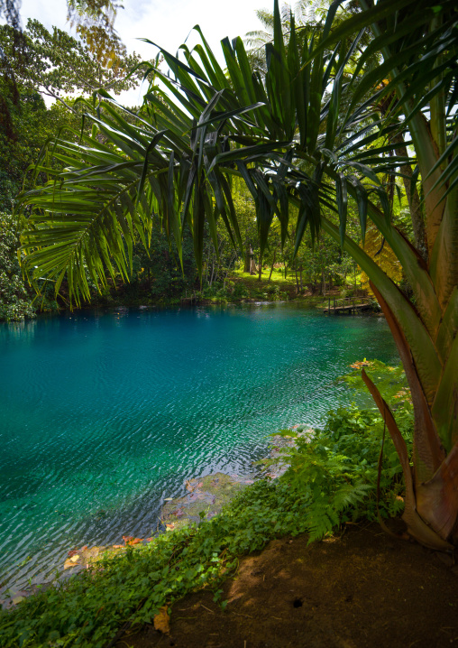 Matevulu blue hole, Sanma Province, Espiritu Santo, Vanuatu