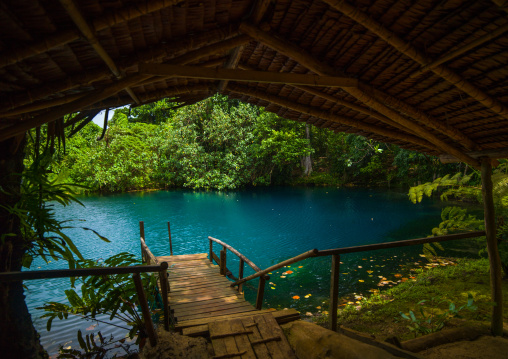 Matevulu blue hole, Sanma Province, Espiritu Santo, Vanuatu