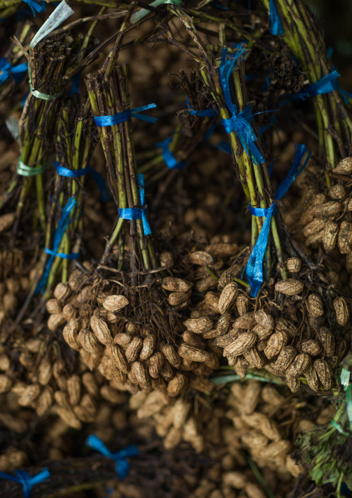 Peanuts for sale in a market, Sanma Province, Espiritu Santo, Vanuatu