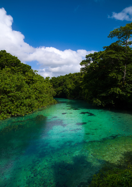 Green water river, Sanma Province, Espiritu Santo, Vanuatu