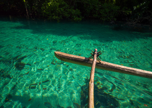 Dugout boat on a green water river, Sanma Province, Espiritu Santo, Vanuatu