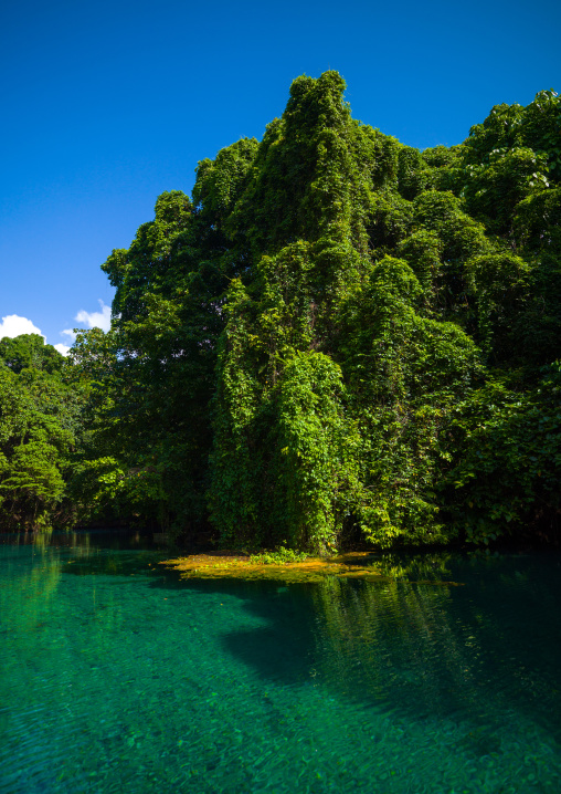 Green water river, Sanma Province, Espiritu Santo, Vanuatu