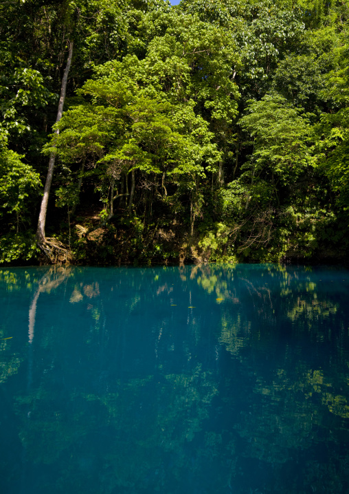 Matevulu blue hole, Sanma Province, Espiritu Santo, Vanuatu