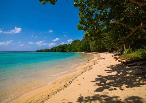 Champagne beach with turquoise water, Sanma Province, Espiritu Santo, Vanuatu