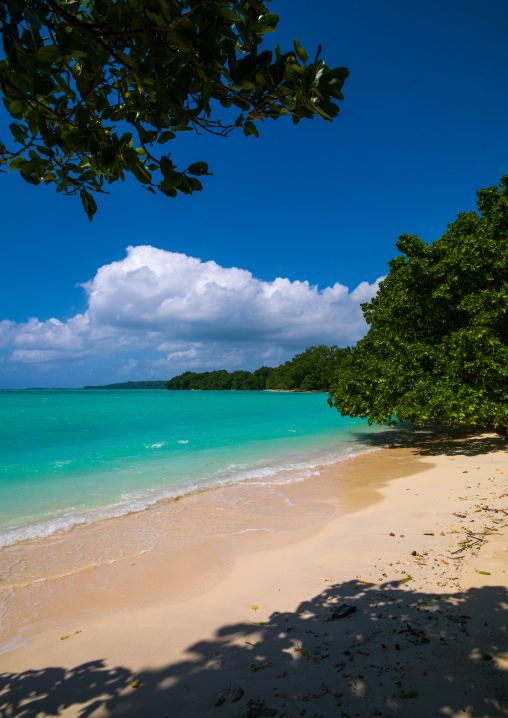 Champagne beach with turquoise water, Sanma Province, Espiritu Santo, Vanuatu