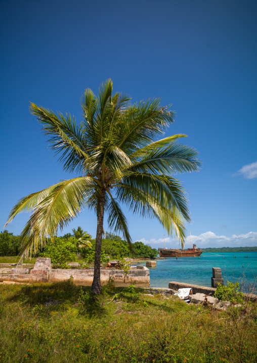 Million dollar point site where american military dumped goods off the beach at the end of World War Two , Espiritu Santo, Luganville, Vanuatu