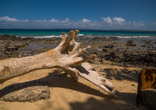 Million dollar point site where american military dumped goods off the beach at the end of World War Two , Espiritu Santo, Luganville, Vanuatu