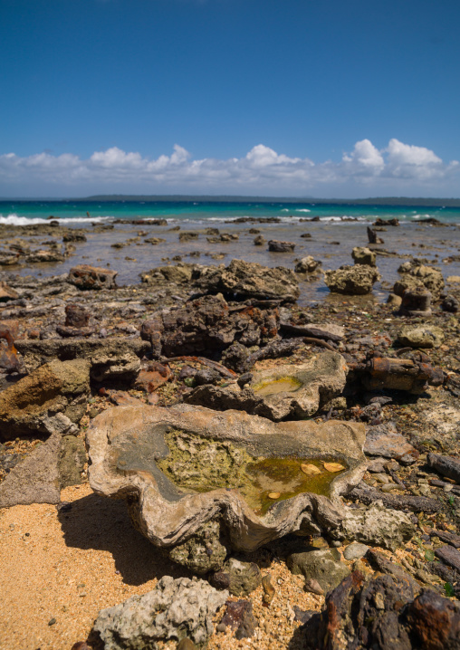 Million dollar point site where american military dumped goods off the beach at the end of World War Two , Espiritu Santo, Luganville, Vanuatu