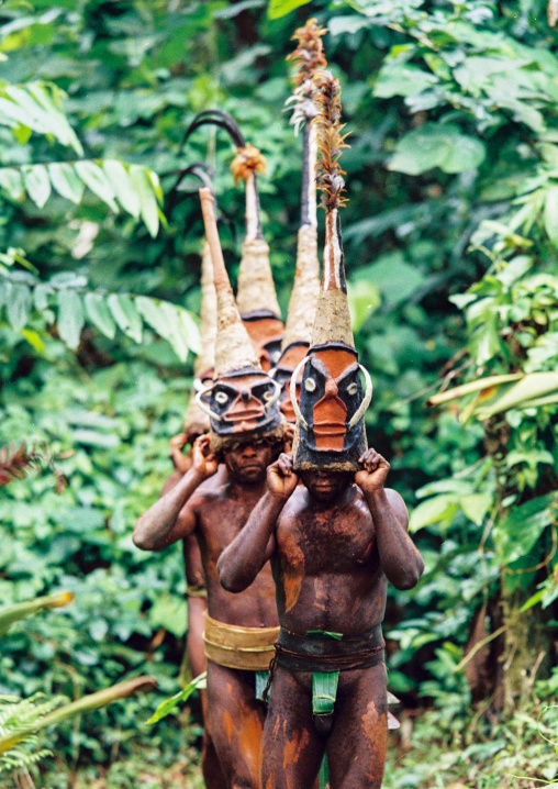 Tribesmen dancing in the jungle with helmet masks for a circumcision ceremony, Malampa province, Malekula island, Vanuatu