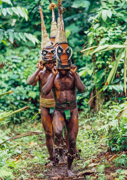 Tribesmen dancing in the jungle with helmet masks for a circumcision ceremony, Malampa province, Malekula island, Vanuatu