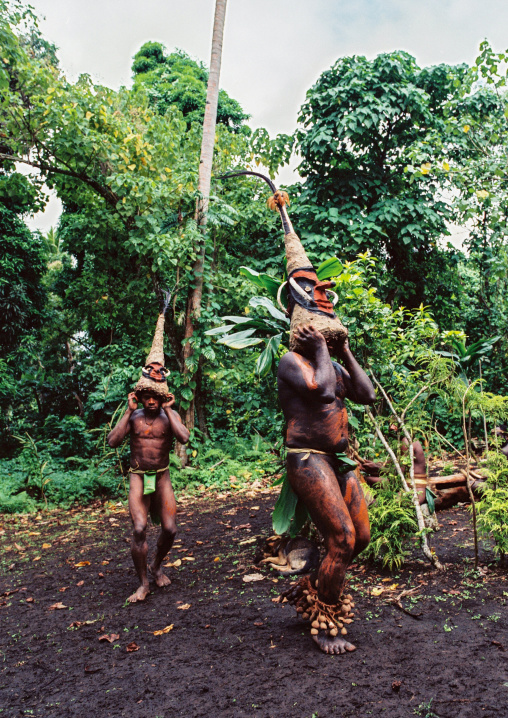 Tribesmen dancing in the jungle with helmet masks for a circumcision ceremony, Malampa province, Malekula island, Vanuatu