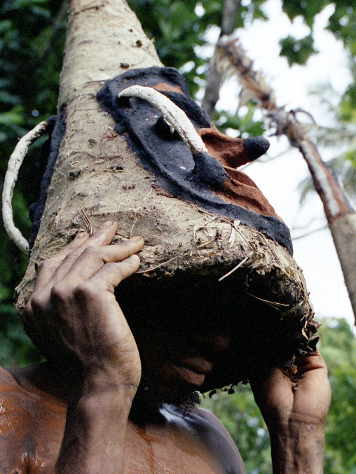 Tribesmen dancing in the jungle with helmet masks for a circumcision ceremony, Malampa Province, Malekula island, Vanuatu