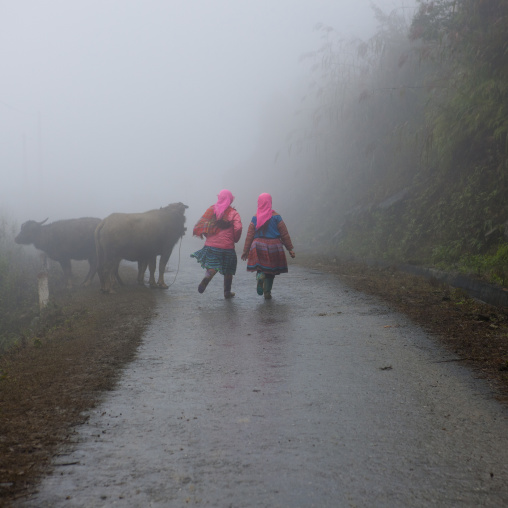 Flower hmong girls back from the fields, Sapa, Vietnam