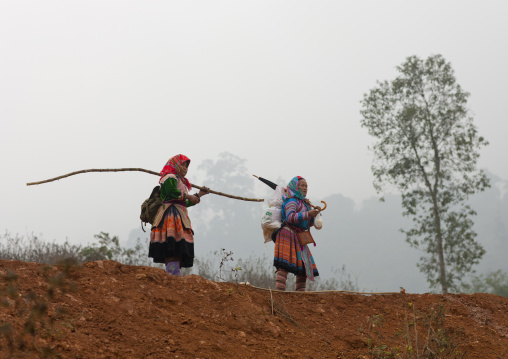 Veiled flower hmong women on their way to sapa market, Vietnam