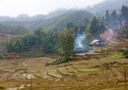 Terrace paddy fields, Sapa, Vietnam