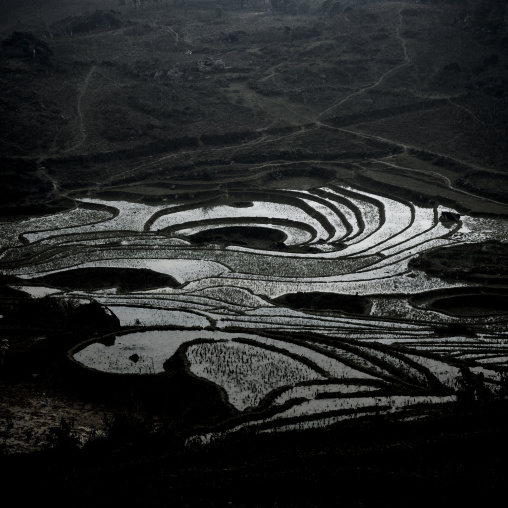 Terrace paddy fields, Sapa, Vietnam