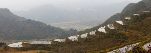 Terrace paddy fields, Sapa, Vietnam