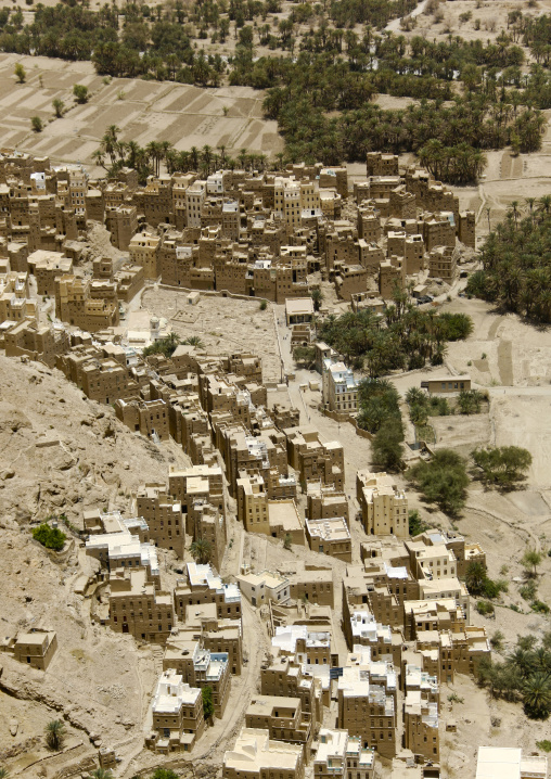 Aerial View Over Houses In An Oasis, Wadi Doan, Yemen