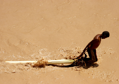 Young Man Pulling A Palm Accross A Muddy Wadi, Tihama,  Yemen