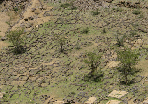 Muslim Cemetery, Yemen