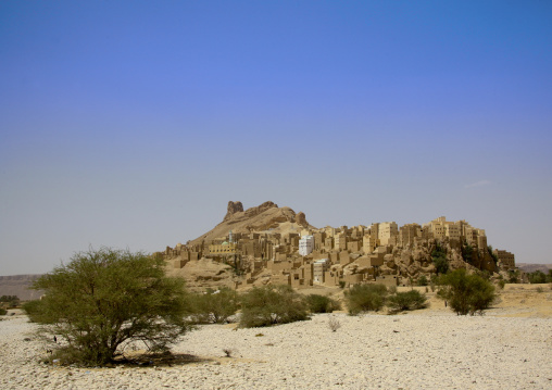 Adobe And Painted Buildings, Wadi Doan, Yemen