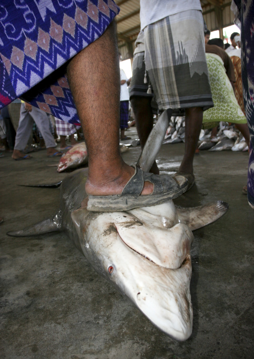 Man Stepping On A Shark At Al Hodeidah Fish Market, Yemen